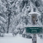Winterzauber im Thüringer Wald