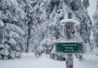 Winterzauber im Thüringer Wald